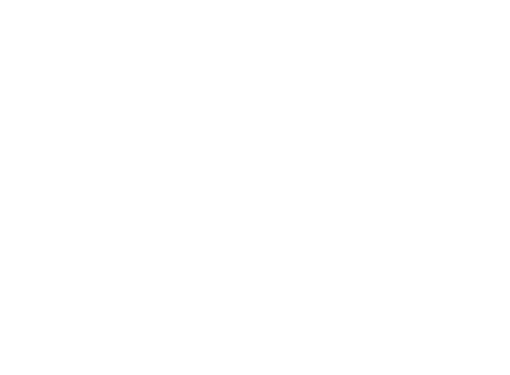 introaming logo wit